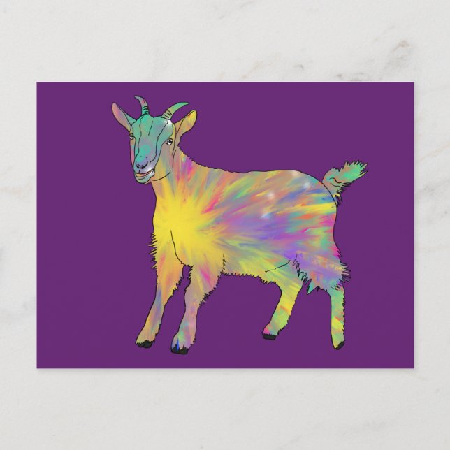 Cartão Postal Funky Starburst Goat Colorous Cuide Animal Art (Frente)