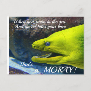Cartão Postal Funny Amore (a Moray) Valentine