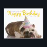 Cartão Postal Funny Bulldog Birthday<br><div class="desc">O chapéu de aniversário que veste buldogue está aqui para desejar ao seu animal de estimação um Feliz aniversário. Cartões postais bonitos de aniversário de animais. Cartões postais de cães para veteranos,  cavaleiros ou qualquer pessoa que ame animais e queira espalhar o amor.</div>