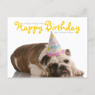 Cartão Postal Funny Bulldog Birthday