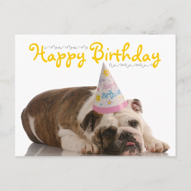 Cartão Postal Funny Bulldog Birthday (Frente)