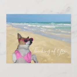 Cartão Postal Funny Corgi na praia de Bikini