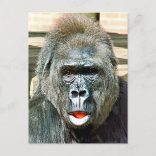 CARTÃO POSTAL FUNNY CUTE GORILLA