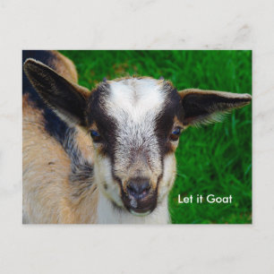 Cartão Postal Funny Goat Parody