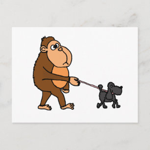 Cartão Postal Funny Gorilla Caminhando Cachorro de Poodle Negro