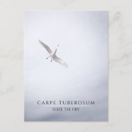 Cartão Postal Funny Motivation Seagull Carpe Diem Fries Francese