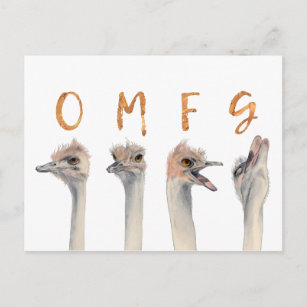Cartão Postal Funny Ostrich Birds OMFG