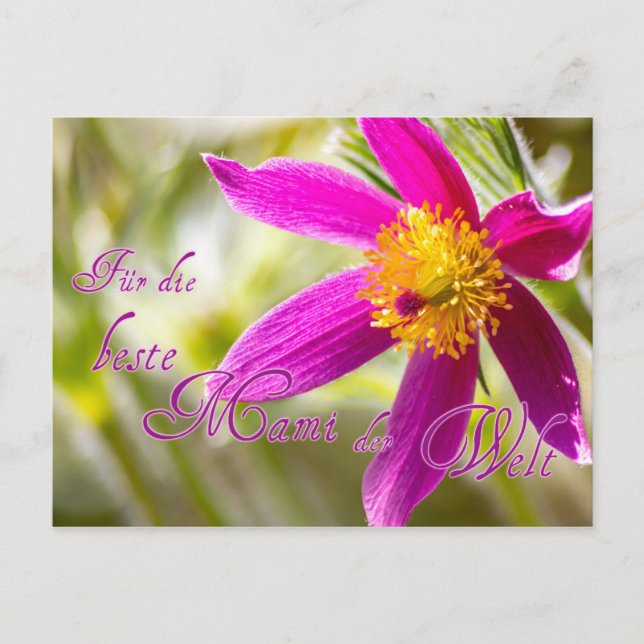 Cartão Postal Für die beste Mami der Welt! (Frente)
