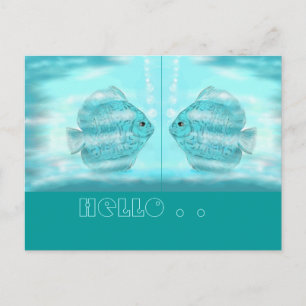 Cartão Postal Für Discus-Freunde...cartão postal