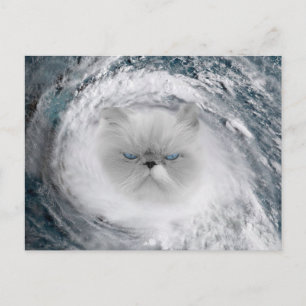 Cartão Postal Furacão Gato Bravo 5