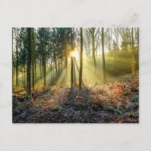 Cartão postal Furnace Valley