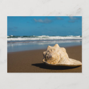 Cartão Postal Future Beach