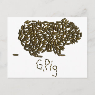 Cartão Postal "G. Suíno" com Suíno Clássico Guiné