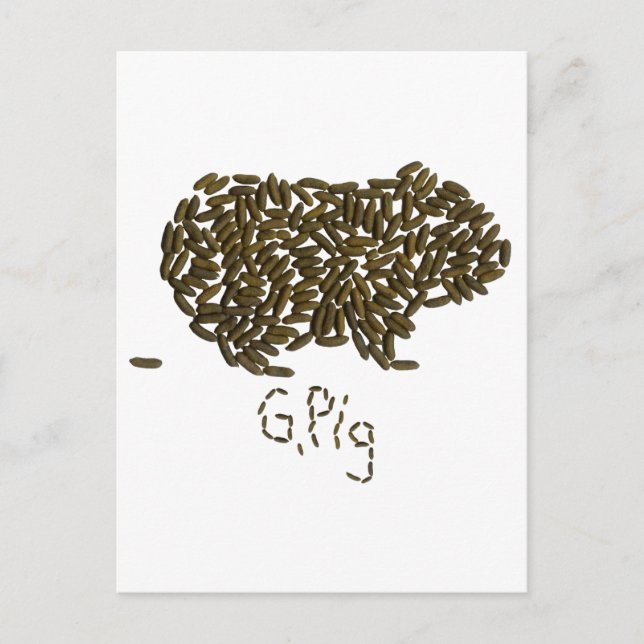 Cartão Postal "G. Suíno" com Suíno Clássico Guiné (Frente)