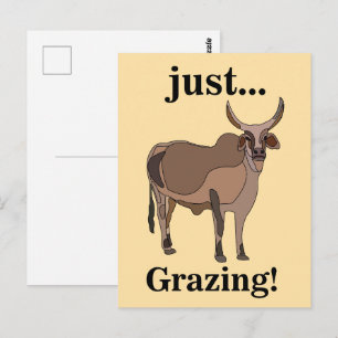 Cartão Postal Gado Zebu Vaca Animal
