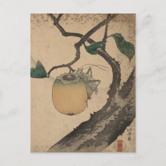 Cartão Postal Gafanhoto comendo persimmon - Katsushika Hokusai