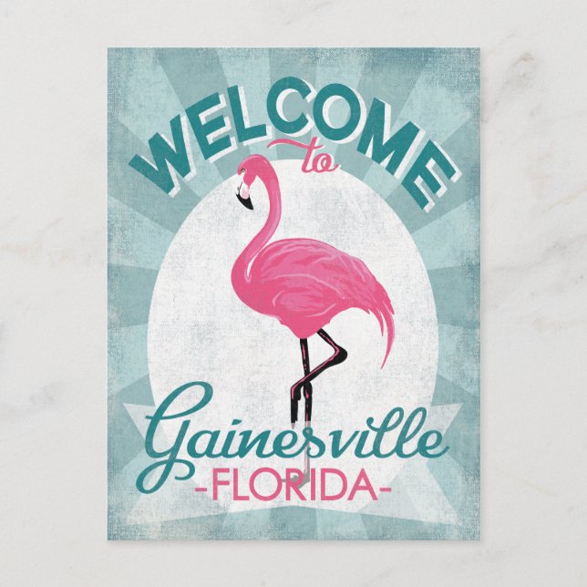 Cartão Postal Gainesville Florida Pink Flamingo Retro (Frente)