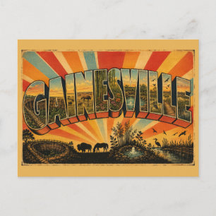 Cartão Postal Gainesville Florida Prairie Gardens Springs 