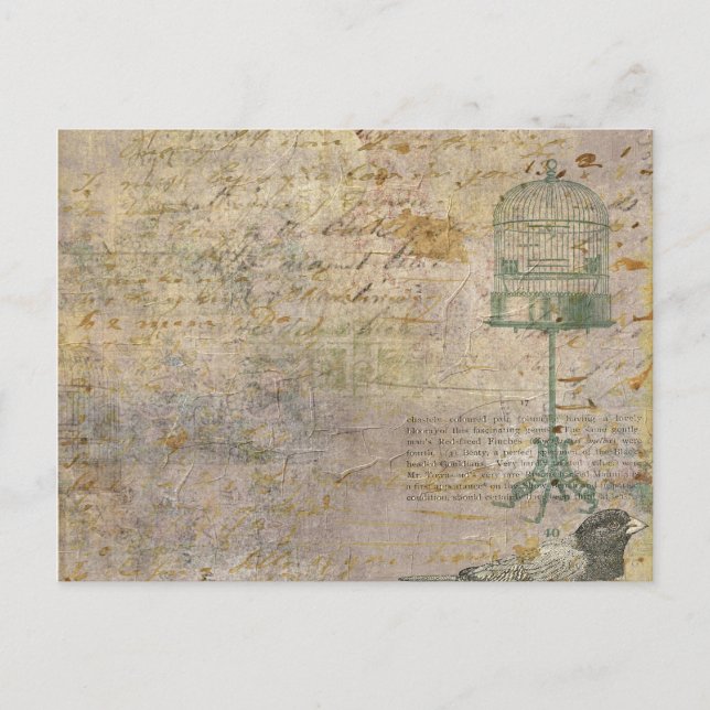 Cartão Postal Gaiola de Pássaros Vintage Com Letreiro (Frente)