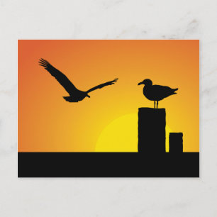Cartão Postal Gaiolas Marítimas Ao Sol
