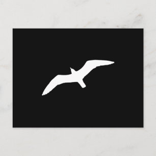 Cartão Postal Gaivota branca