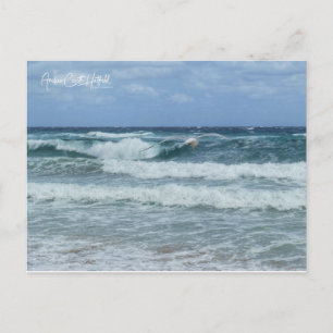Cartão Postal Gaivota e Mar