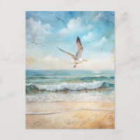 Gaivota Oceano Pássaro Praia Costeira 