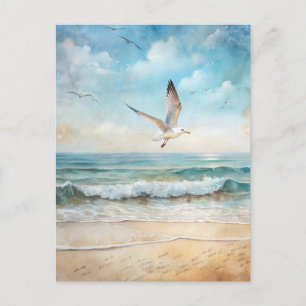 Cartão Postal Gaivota Oceano Pássaro Praia Costeira