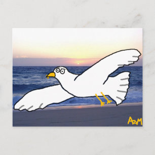 Cartão Postal Gaivota sobre a baía