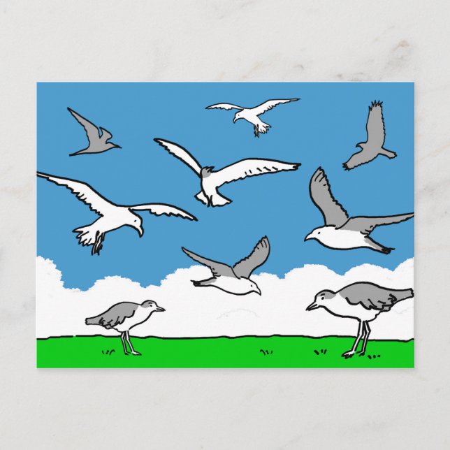 Cartão Postal Gaivotas em voo (Frente)