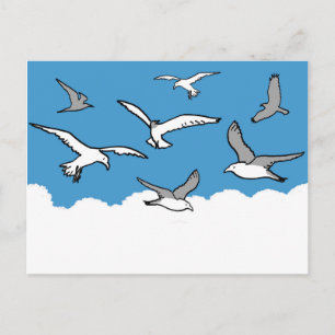 Cartão Postal Gaivotas em voo