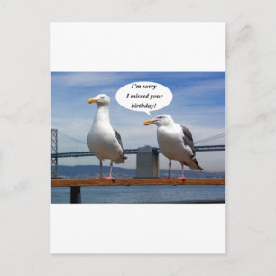 Cartão Postal Gaivotas falando