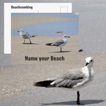 Gaivotas na Praia Costumizável