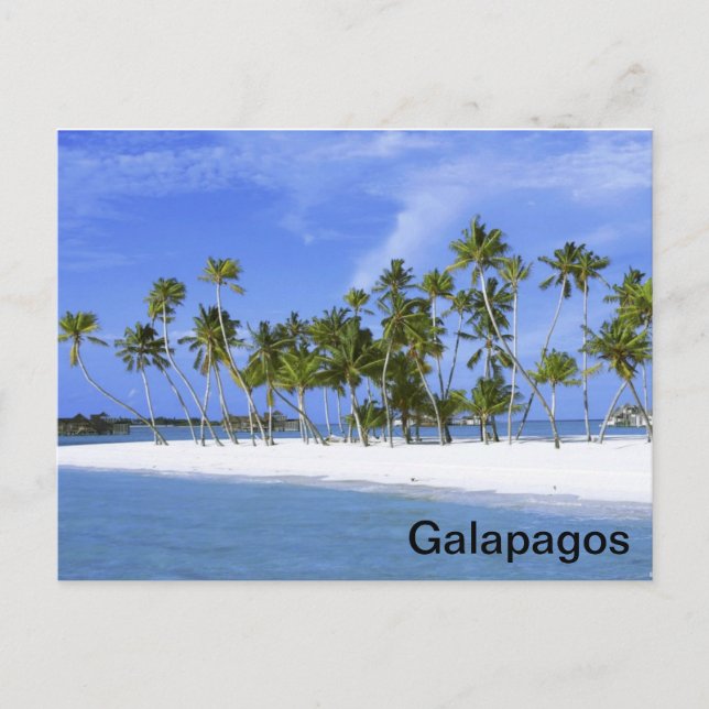 Cartão Postal Galápagos - praia (Frente)