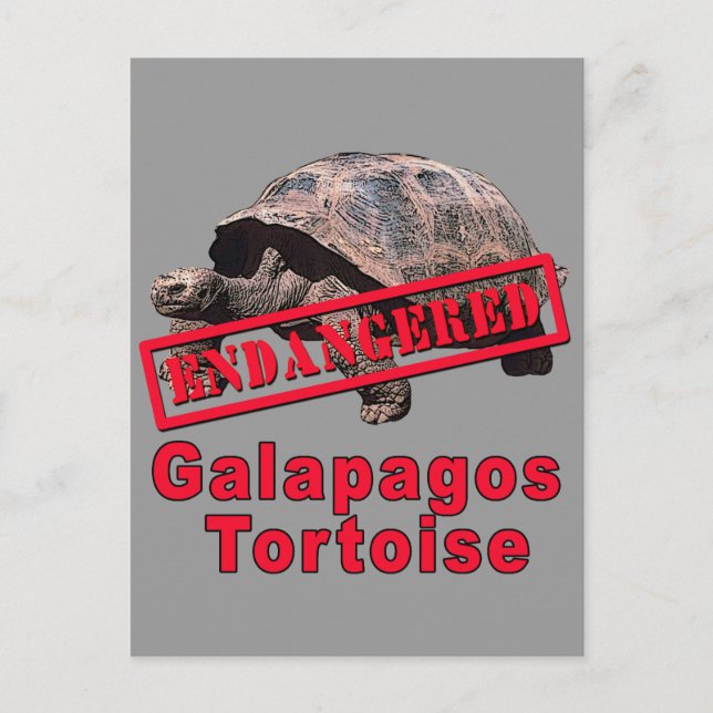Cartão Postal Galápagos Tortoise Camisetas de Arte Ameaçadas (Frente)