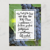 Galatianos 5:22-23 A Fruta do Espírito