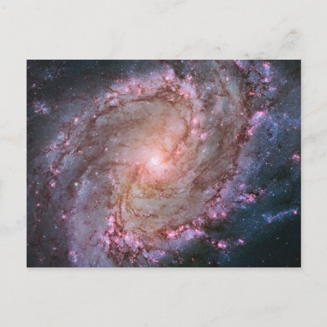 Cartão Postal Galáxia Espiral Fotográfica do Espaço Rosa M83 (Frente)