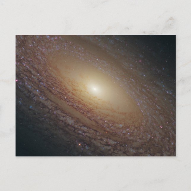 Cartão Postal Galáxia Espiral Ngc 2841 (Frente)