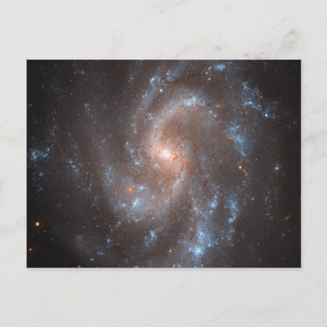 Cartão Postal Galáxia Espiral Ngc 5584 (Frente)