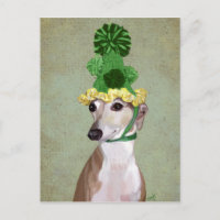 Galgo com Chapéu de Malha Verde
