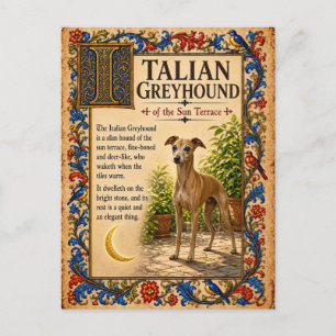 Cartão Postal Galgo Italiano, Arte do Bestiário Medieval