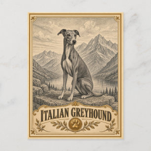 Cartão Postal Galgo Italiano, Cão de Patrimônio Vintage
