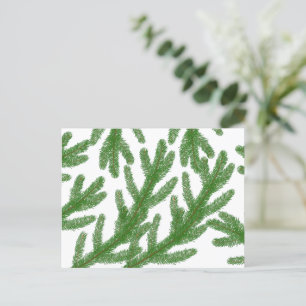 Cartão Postal galhos de abetos de Natal