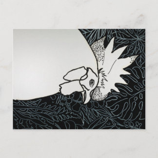 Cartão Postal Galinha 1