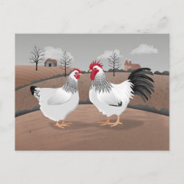 Cartão Postal Galinha & Galo