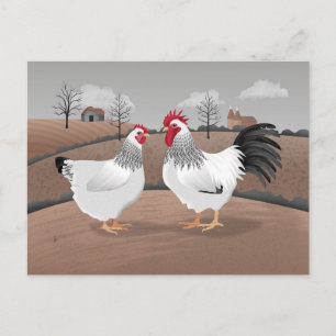 Cartão Postal Galinha & Galo