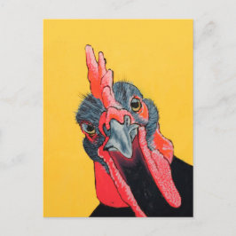 Cartão Postal Galinha irritada em amarelo