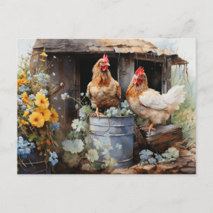 Cartão Postal Galinhas Balde de lata Coop de galinhas Flores ama