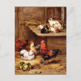 Cartão Postal Galinhas com galo de coelhos animais de criação co
