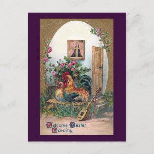 Cartão Postal Galinhas com Luta e Ovos